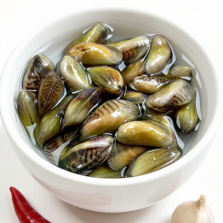 Coquina Clam
