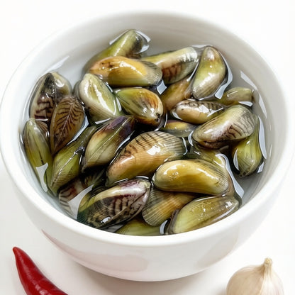 Coquina Clam